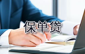 东方保单贷